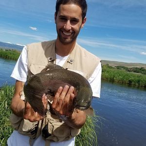 Meet your Posher, Dillon